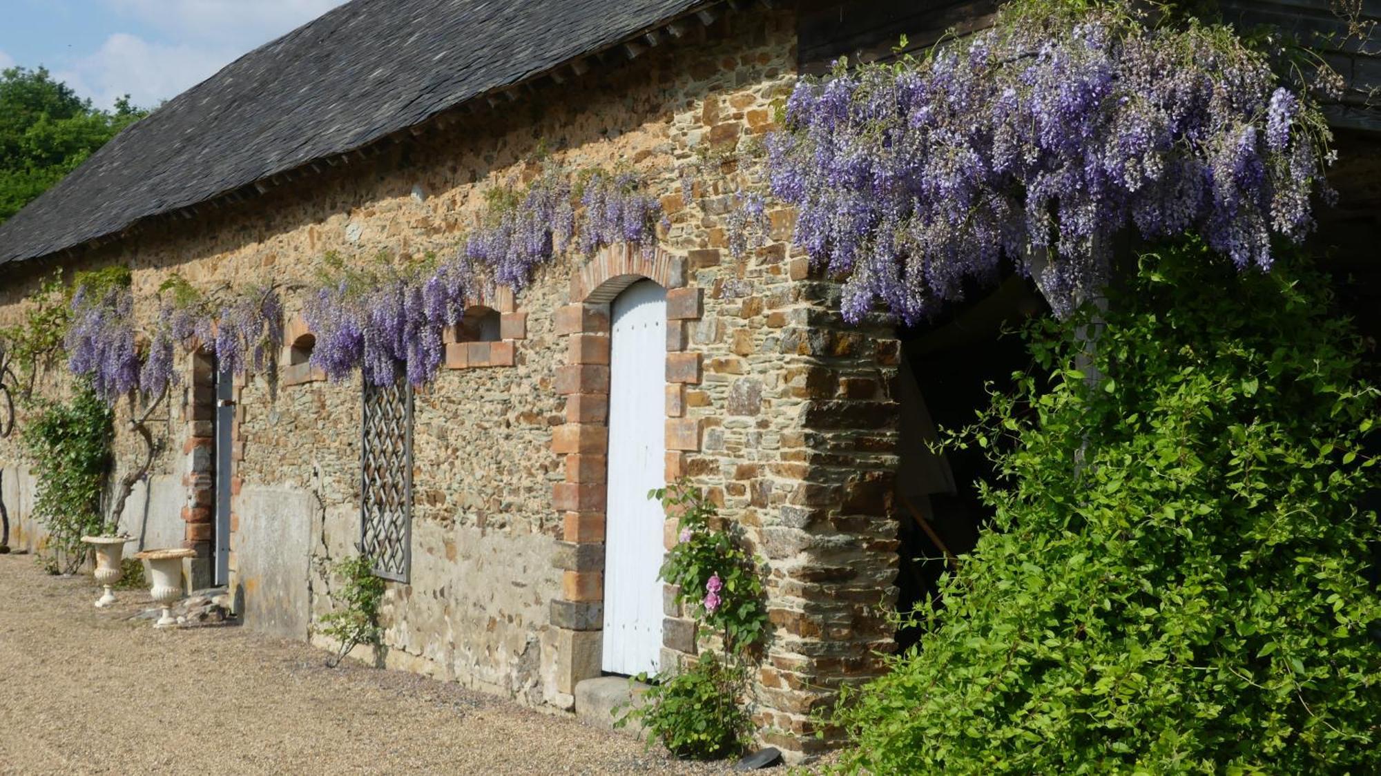 Bed and Breakfast La Petite Lande Ménil Exterior foto